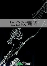 组合改编诗